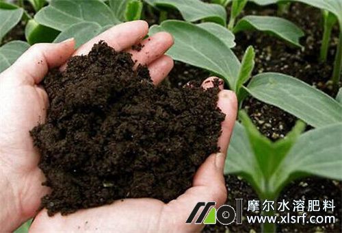 防寒抗凍水溶肥介紹 防寒抗凍水溶肥介紹