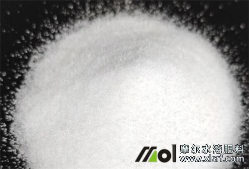 水溶肥與地下害蟲藥混用 水溶肥與地下害蟲藥混用