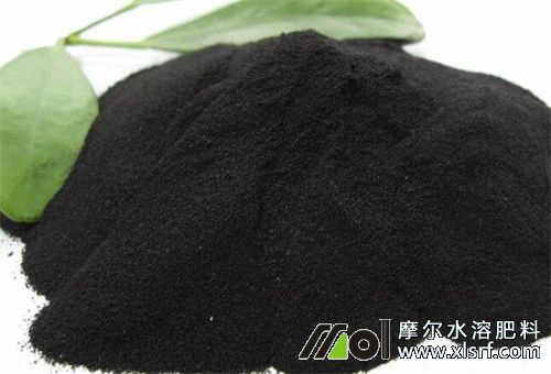 特種肥和普通肥區(qū)別 特種肥和普通肥區(qū)別