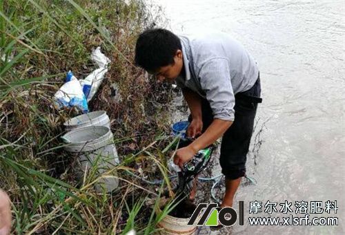 二次稀釋 二次稀釋