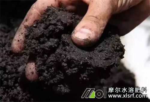 水溶肥有機質(zhì)含量來源 水溶肥有機質(zhì)含量來源