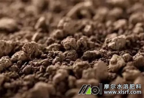 水溶肥有機質(zhì)含量來源 水溶肥有機質(zhì)含量來源