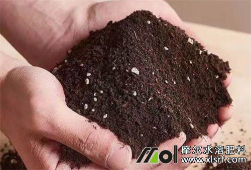 有機質(zhì)水溶肥好處 有機質(zhì)水溶肥好處