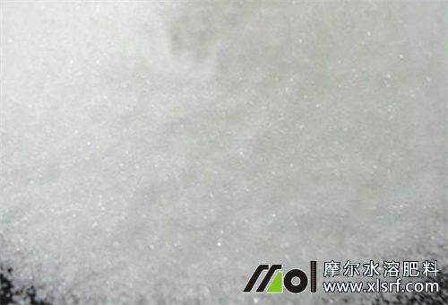 水溶肥好吸收 水溶肥好吸收