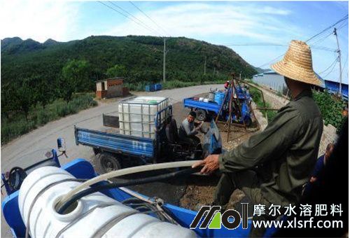 水溶肥施肥注意 水溶肥施肥注意