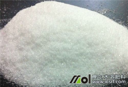 水溶肥用量 水溶肥用量