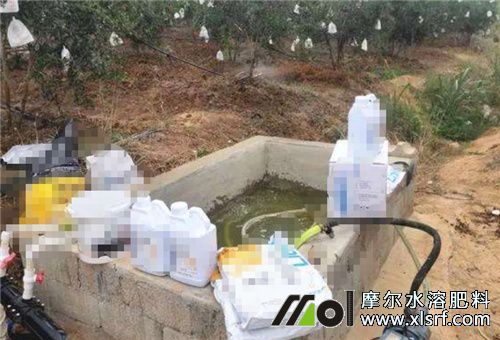 水溶肥使用標準 水溶肥使用標準