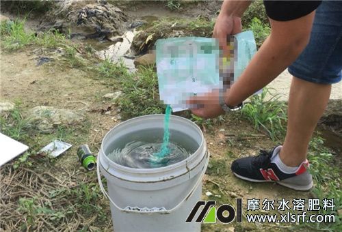 水溶肥稀釋 水溶肥稀釋