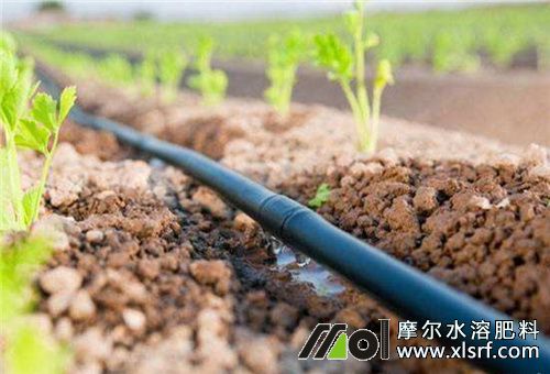 作物滴灌追肥 作物滴灌追肥