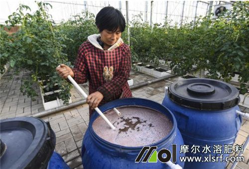 大棚水溶肥稀釋溶解 大棚水溶肥稀釋溶解