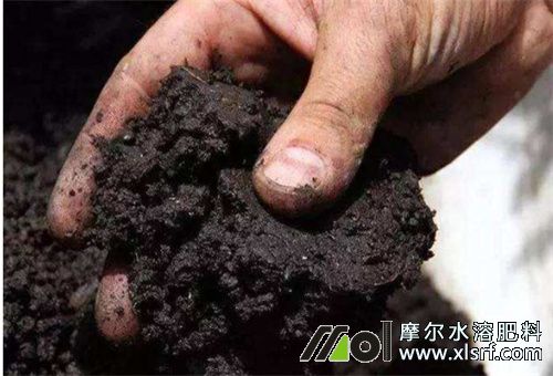 水溶肥改善土壤 水溶肥改善土壤