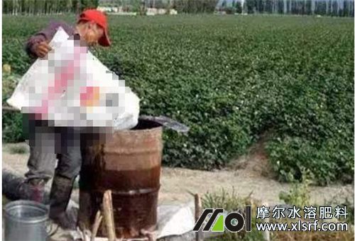 全水溶肥稀釋 全水溶肥稀釋