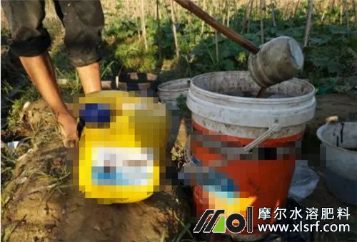 全水溶肥混搭 全水溶肥混搭