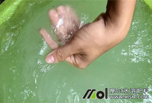 水溶肥冬天是否結(jié)冰 水溶肥冬天是否結(jié)冰