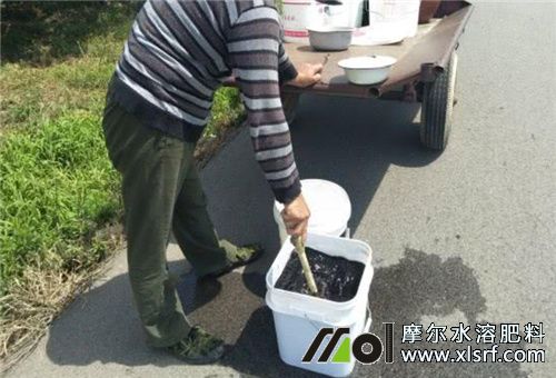 水溶性肥使用注意 水溶性肥使用注意