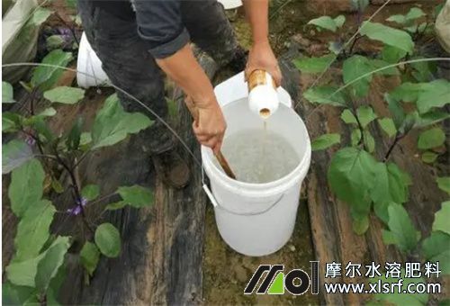 水溶性肥使用注意 水溶性肥使用注意