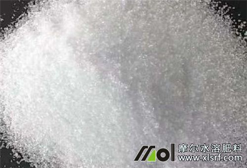 茄子選肥辨肥 茄子選肥辨肥