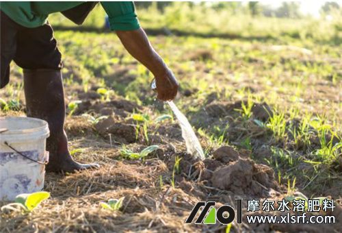 水溶肥復合肥施肥注意 水溶肥復合肥施肥注意