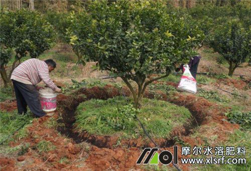 復合肥用量 復合肥用量