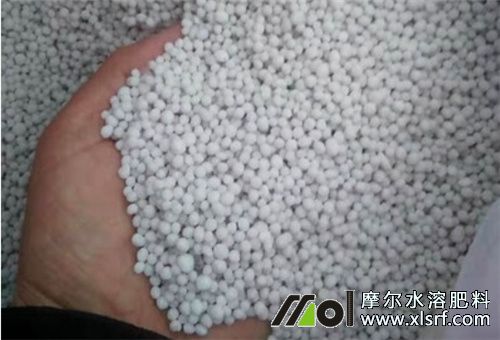 水溶肥結(jié)塊原因 水溶肥結(jié)塊原因