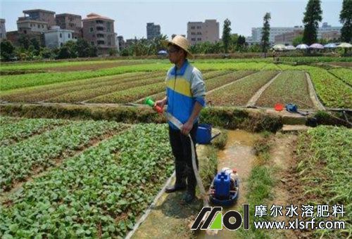 水溶肥施肥次數(shù) 水溶肥施肥次數(shù)
