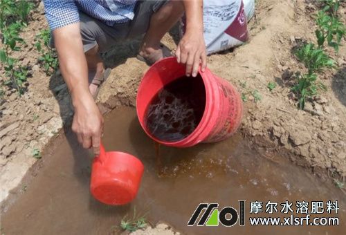 水溶肥澆地沖 水溶肥澆地沖