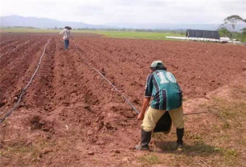 水溶肥使用禁忌 水溶肥使用禁忌