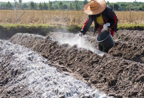 水溶肥適用土壤 水溶肥適用土壤