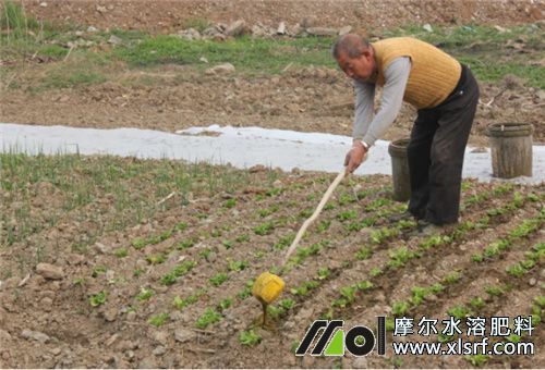 水溶性肥施肥方式 水溶性肥施肥方式