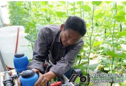 水溶肥用法 水溶肥用法