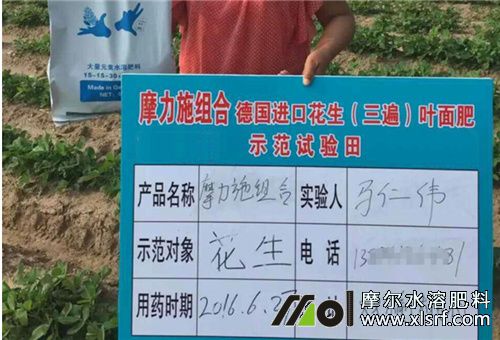 套餐水溶肥選擇 套餐水溶肥選擇