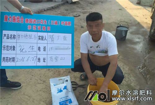 套餐水溶肥選擇 套餐水溶肥選擇