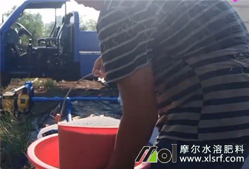 水溶肥料使用條件3 水溶肥料使用條件3