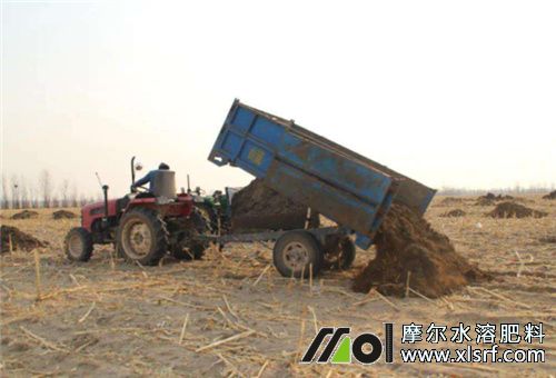 水溶肥料使用條件1 水溶肥料使用條件1