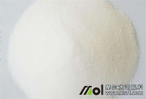 好點(diǎn)的水溶肥不結(jié)塊 好點(diǎn)的水溶肥不結(jié)塊