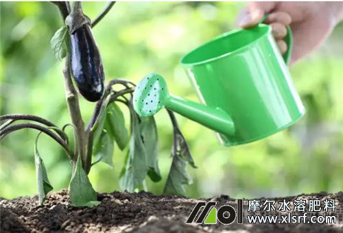 水溶肥使用注意2 水溶肥使用注意2