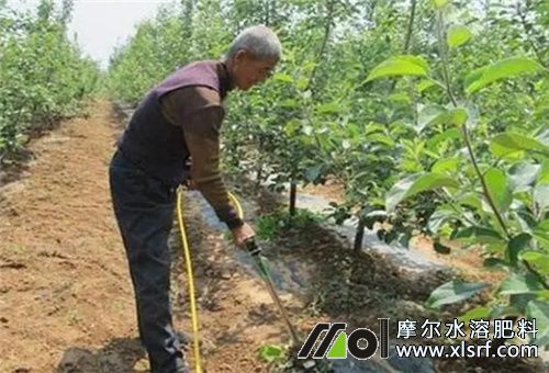 速效水溶性肥用法 速效水溶性肥用法