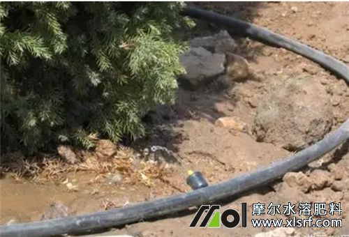 速效水溶性肥用法2 速效水溶性肥用法2