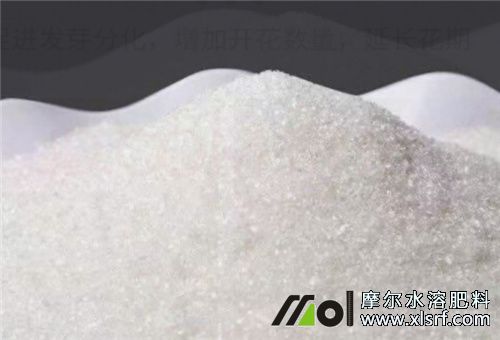 水溶肥用量與效果 水溶肥用量與效果