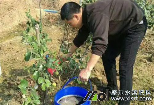 水溶肥使用方式 水溶肥使用方式