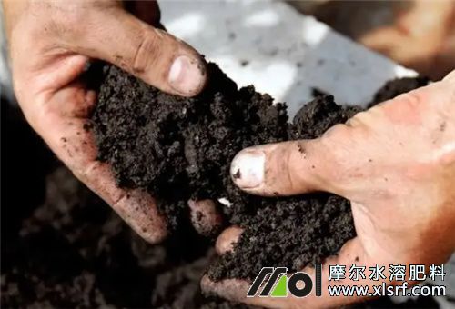 菌肥好處特點(diǎn) 菌肥好處特點(diǎn)