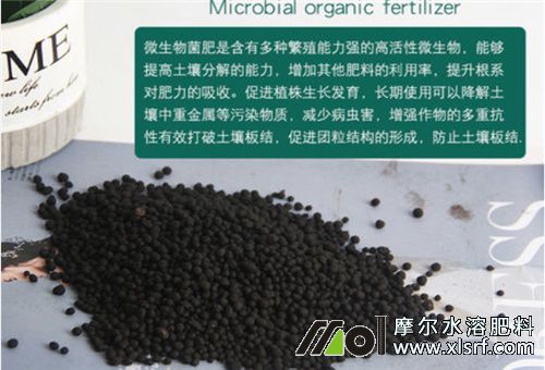 菌肥好處特點(diǎn) 菌肥好處特點(diǎn)