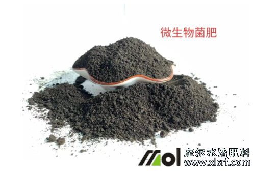 菌肥 菌肥