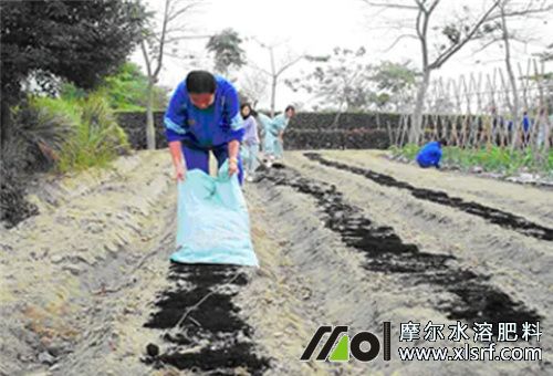 水溶肥使用禁忌 水溶肥使用禁忌