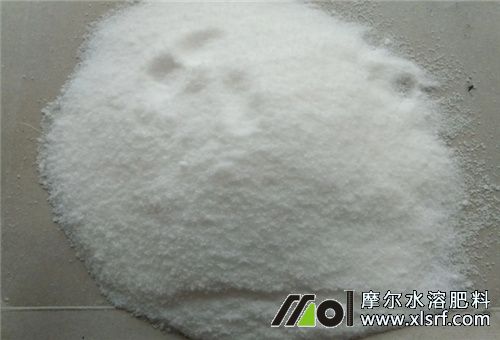 水溶肥是否要澆透 水溶肥是否要澆透