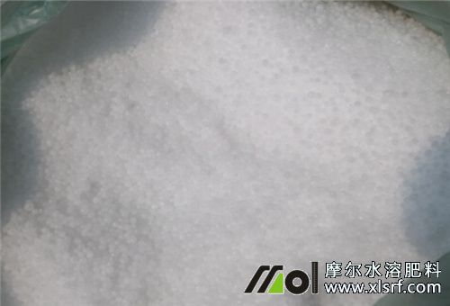 水溶肥是否要澆透 水溶肥是否要澆透