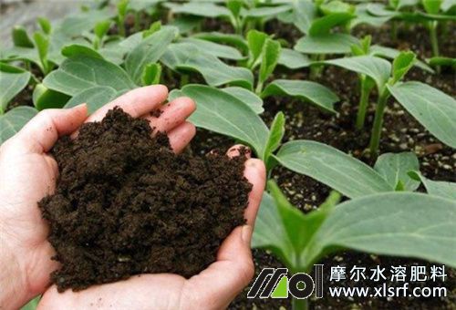 腐殖酸活性物質(zhì) 腐殖酸活性物質(zhì)