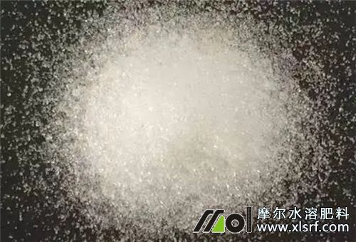 大量元素水肥選擇 大量元素水肥選擇