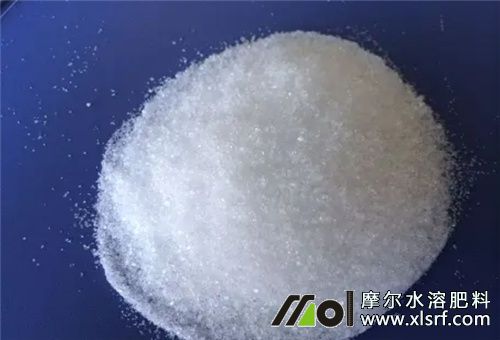 水溶肥效果 水溶肥效果