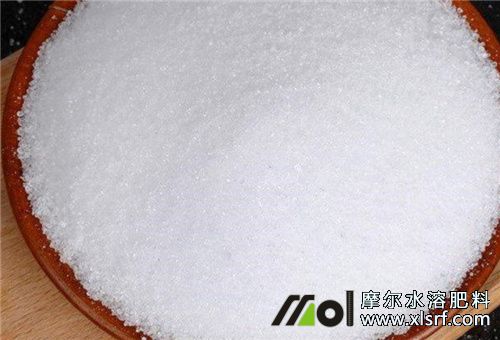 水溶肥含量TE 水溶肥含量TE